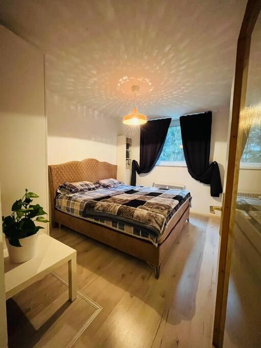 Comfortable, Suitable Appartement
